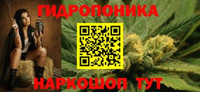 ECSTASY Бийск