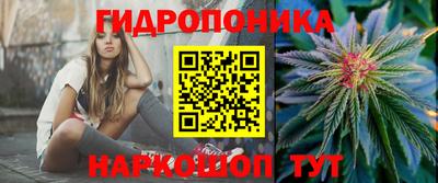 a pvp Берёзовский