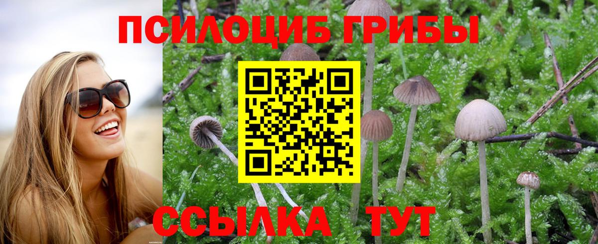 Галлюциногенные грибы GOLDEN TEACHER Киселёвск