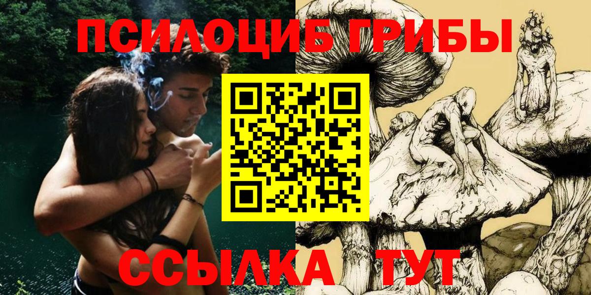 Галлюциногенные грибы Psilocybe  Вход с VPN  Галлюциногенные грибы MAGIC MUSHROOMS  Киселёвск 